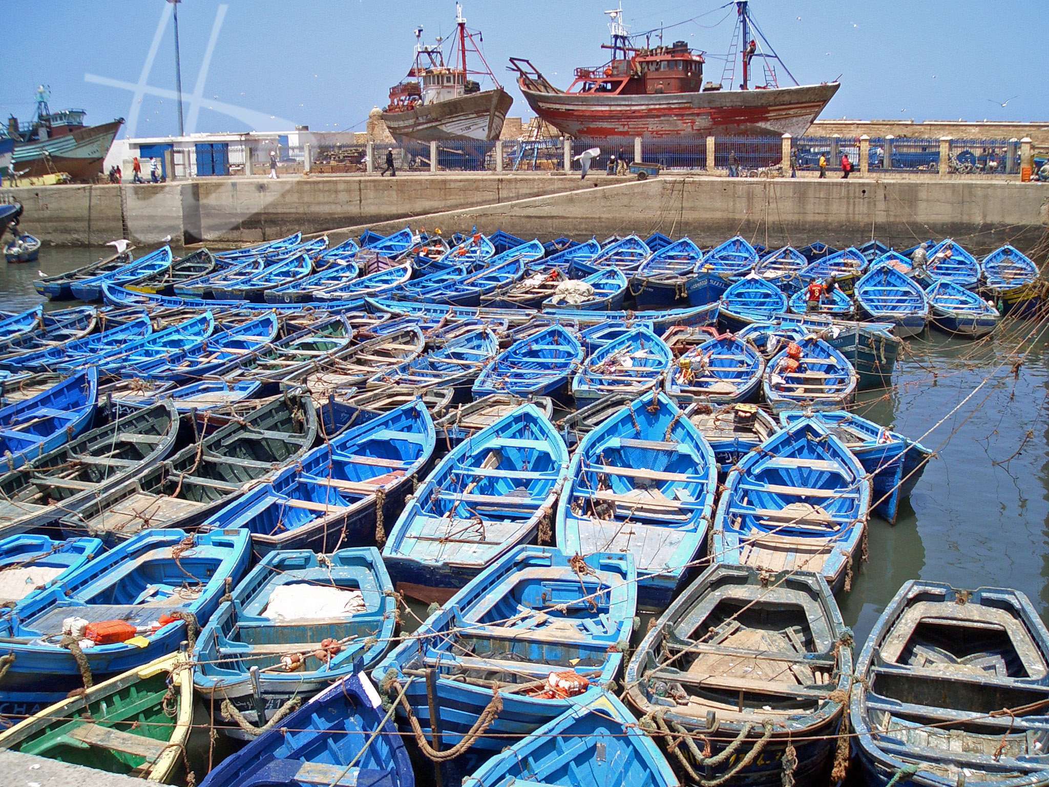 Essaouira città della costa