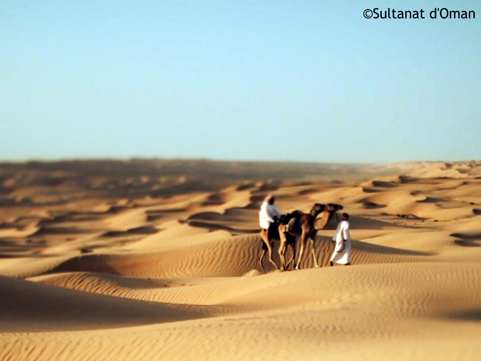 Deserto Sharqyiah Sands