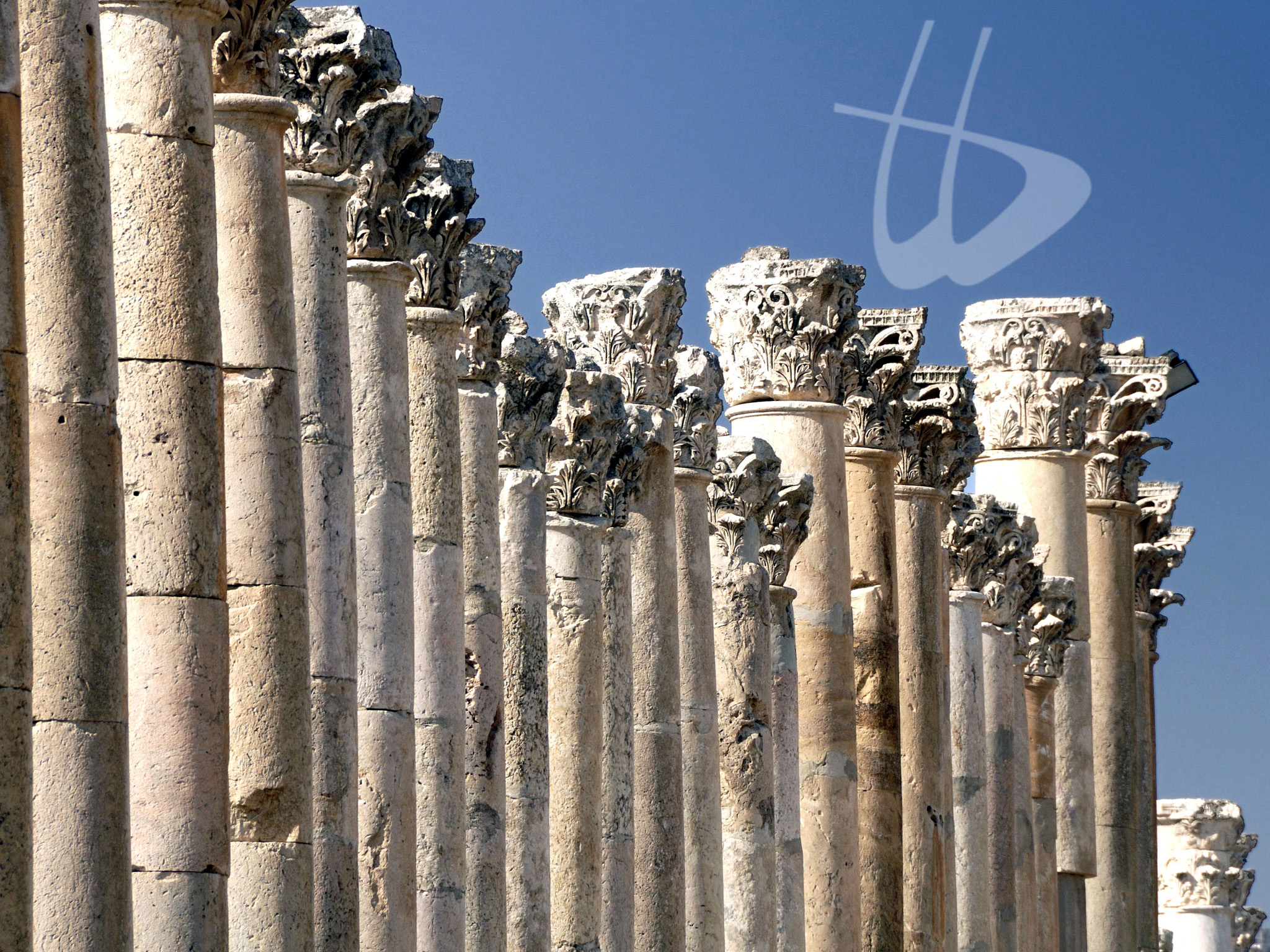 Jerash - colonne del Cardo Maximo