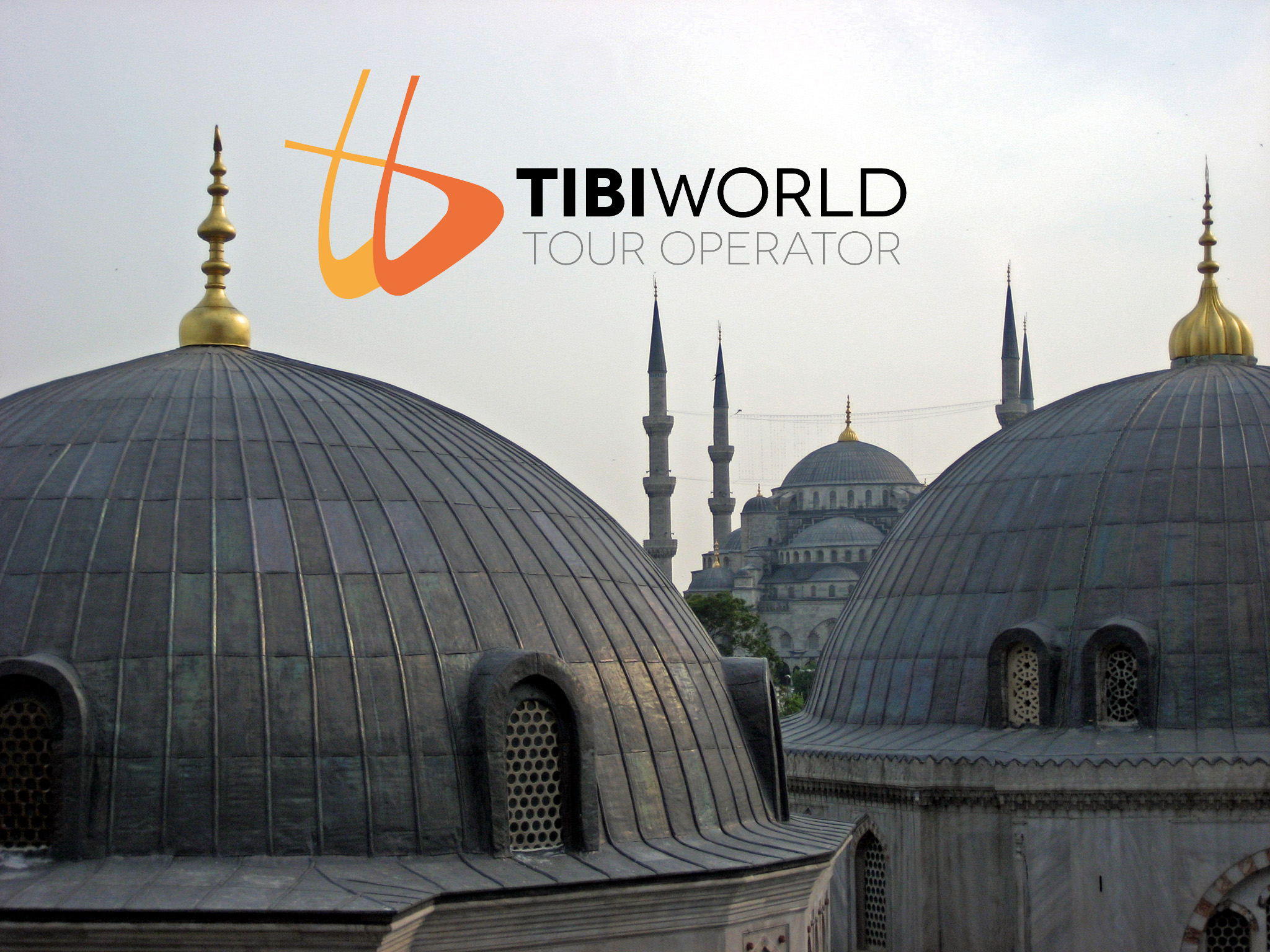 Istanbul - Moschea Blu vista da Aya Sofia