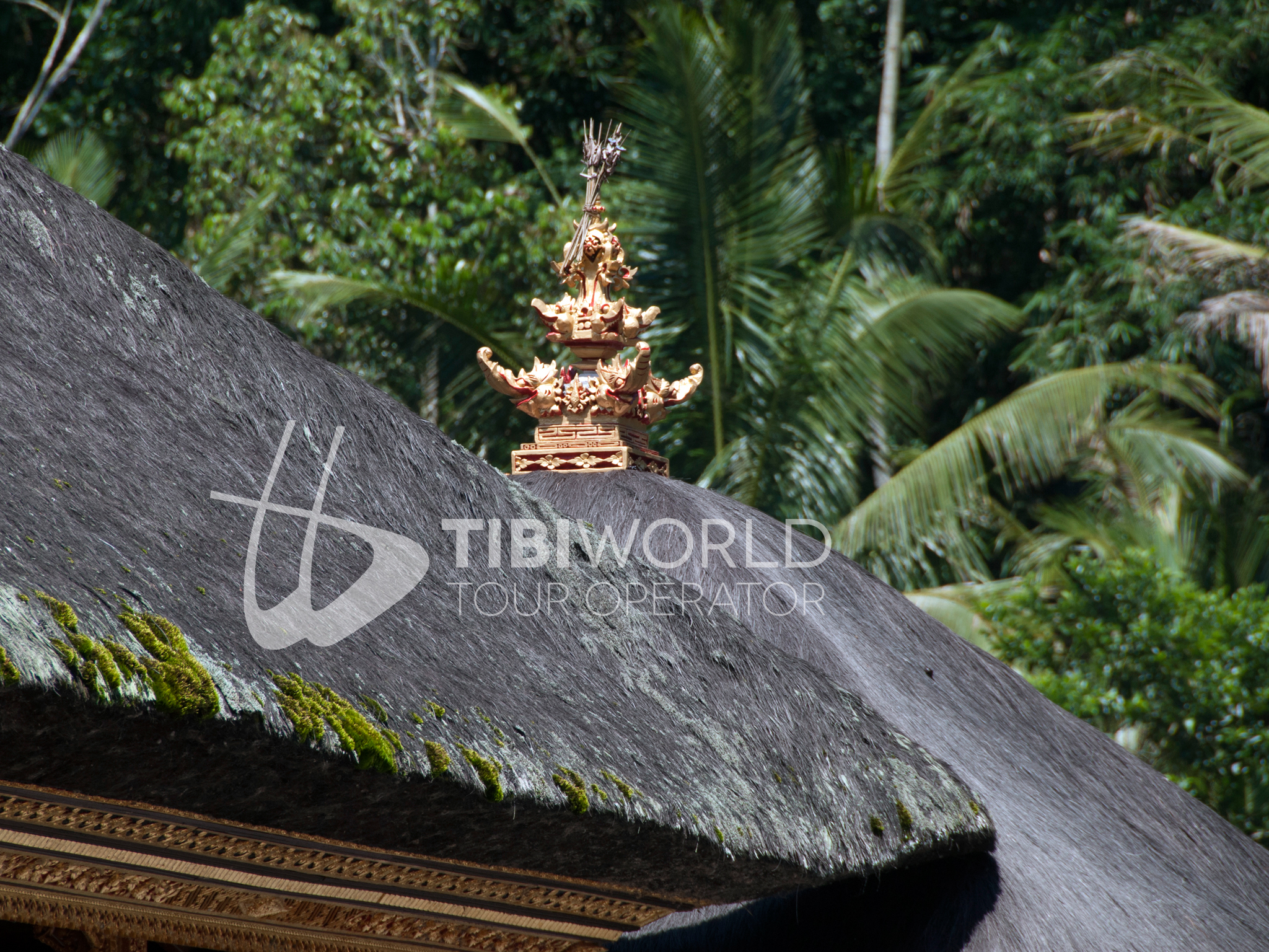 Bali - dettaglio Tempio Tampaksiring