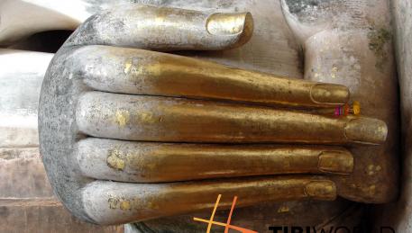 La varie posizioni delle mani di Buddha hanno ciascuna un preciso significato