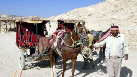 Petra - una parte del percorso si può fare con le carrozze locali