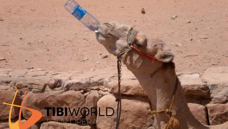 Anche i cammelli hanno sete...