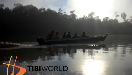 La navigazione all'interno della Foresta Prima del Borneo è un'altra esperienza da richiederci