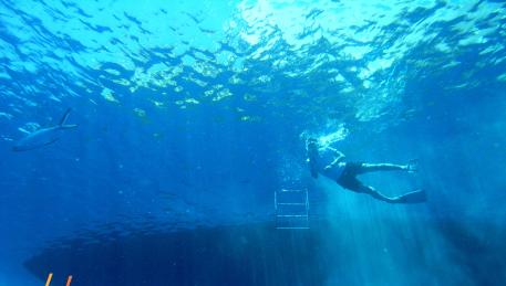E lo spettacolo continua sotto il mare, semplicemente facendo snorkeling o in immersione...