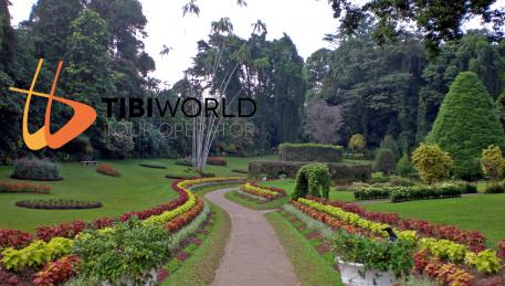  Peradeniya - Giardino Botanico