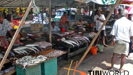 Galle - mercato del pesce