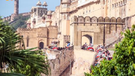 Jaipur - Forte di Amber salita a dorso di elefante